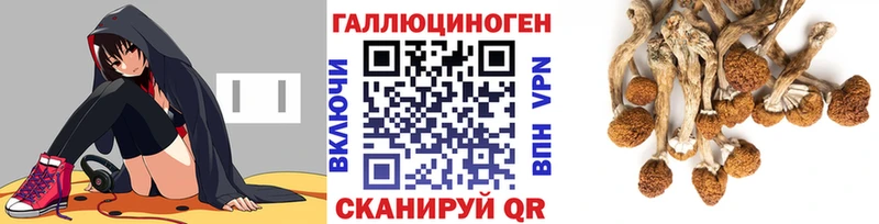 Псилоцибиновые грибы мухоморы  Абакан 